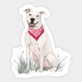 American Staffordshire Terrier Sticker